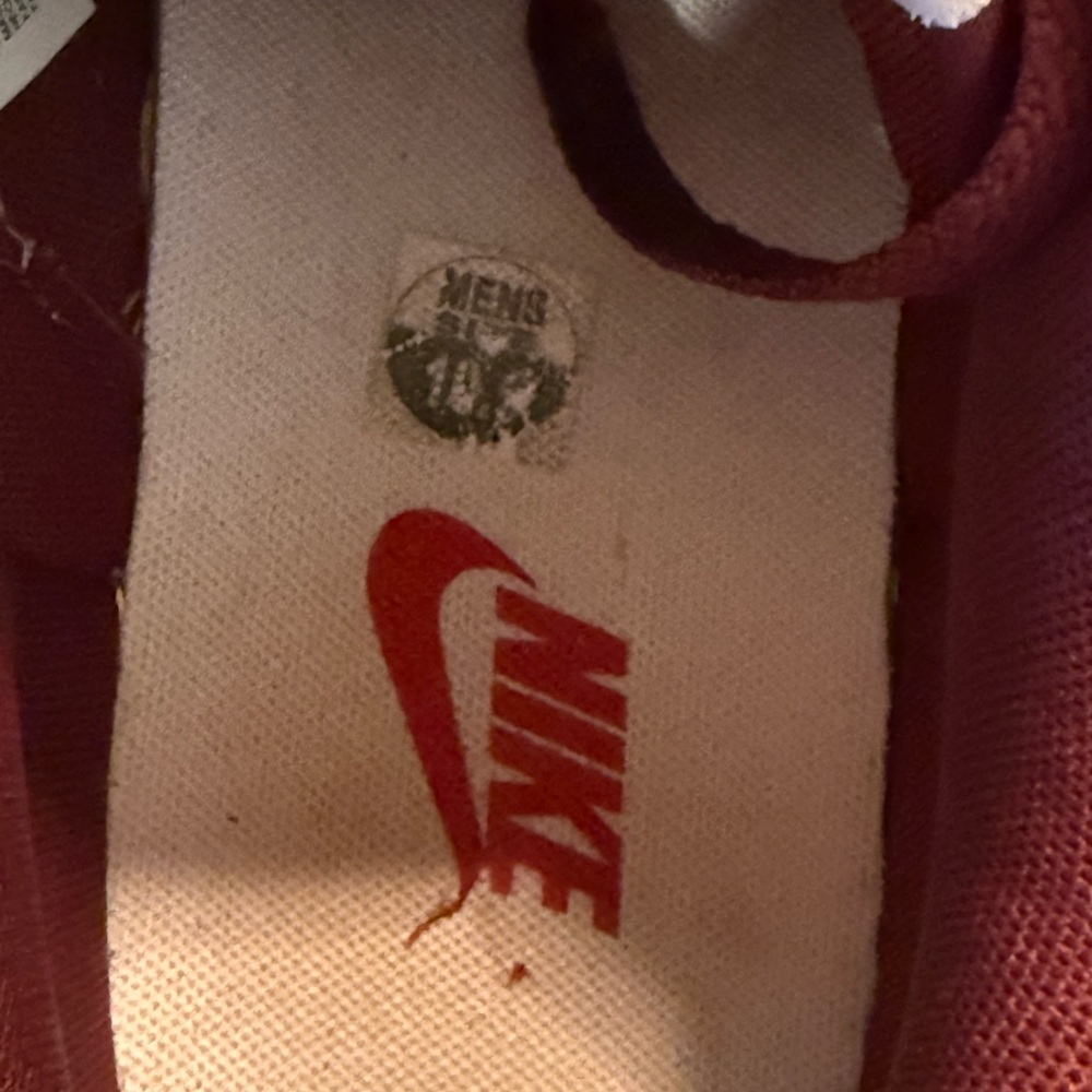 Nike Dunk Low Redwood - Picture 4 of 5
